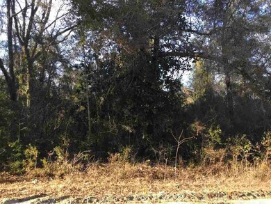 Lot 18 Nelson Rd, Crawfordville, FL 32327 - photo 2