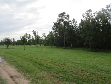 0 Sauls Rd unit 1012113, Callahan, FL 32011 - photo 5