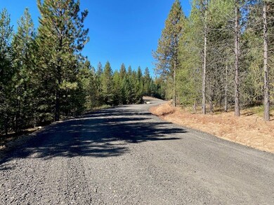 Lot 15 Saddle Rock Way unit 15, Cascade, ID 83611 - photo 4