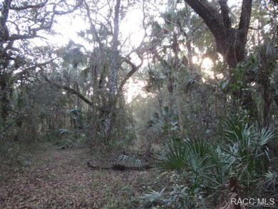 5.5 acres of lovely privacy
