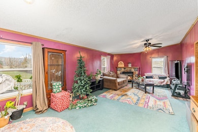 282 & 284 Sparta- Sanders Rd, Sanders, KY 41083 - photo 5