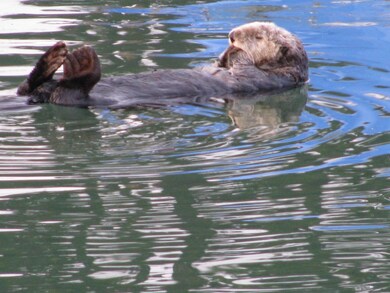00 Bluff Rd, Moss Landing, CA 95039 - photo 6