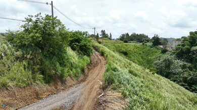 Carr 773 Km 2 6, Barranquitas, PR 00794 - photo 7
