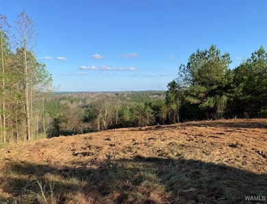 0 Hwy 43 N unit 172125, Northport, AL 35475 - photo 6