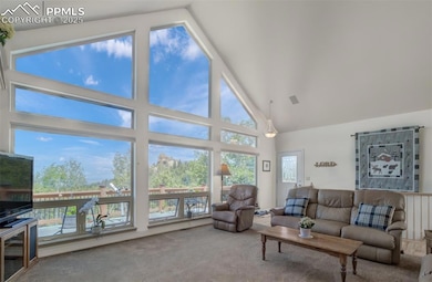 Living room with a focus on the wall of windows!