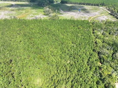 0 Buck Ln, Woodbine, GA 31569 - photo 5