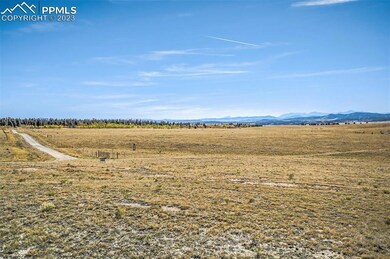 4250 Ute Trace Rd, Hartsel, CO 80449 - photo 6