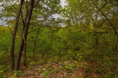 Tbd Lakeway, Swan Township, MO 65680 - photo 5