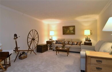 Living room with light carpet and crown molding