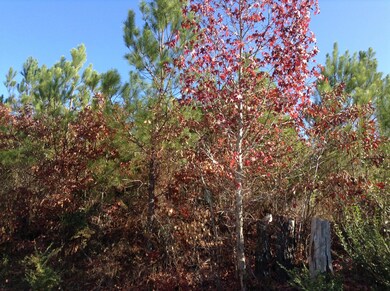 Wooded