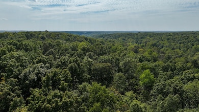 1 Deep Cut Rd, Erin, TN 37061 - photo 6