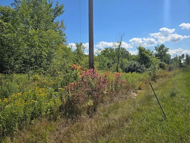 0 E Hwy 212 unit NRA826868, Michigan City, IN 46360 - photo 3