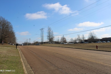 8568 Goodman Rd, Olive Branch, MS 38654 - photo 5