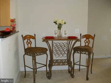 42420 Hollyhock Terrace unit 103, Ashburn, VA 20148 - photo 5