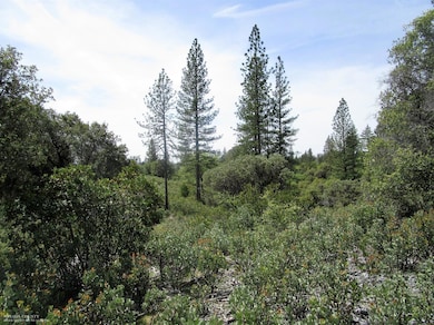 24271 Hoyt Crossing Rd, North San Juan, CA 95960 - photo 5