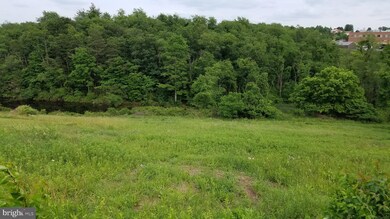 402 E Ridge Loop Rd, Romney, WV 26757 - photo 6