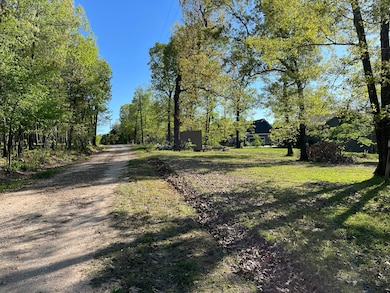 1 Hobbs Hollow Rd, Williams Township, MO 65747 - photo 6