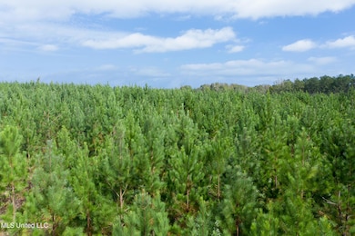 010 Attala Rd, McCool, MS 39108 - photo 3