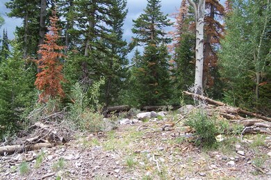 6 S Ranger Ct unit CBMHS u-B b-C lot 2, Brian Head, UT 84719 - photo 3