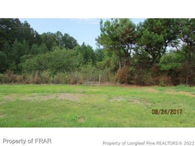 14959 Us 421 S, Gulf, NC 27312 - photo 4