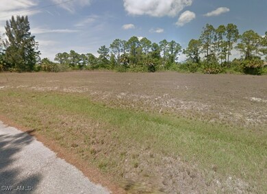 View of local wilderness