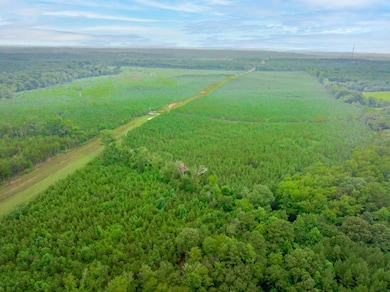 Humpback Bridge Rd, Chester, SC 29712 - photo 2