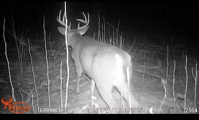 0 V L E 22 3 4 Rd, Manton, MI 49663 - photo 2