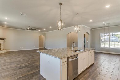 1032 Henry Way, Springtown, TX 76082 - photo 6