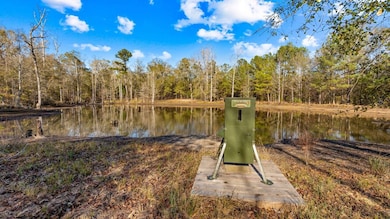 298 E Highway 127, Rupert, GA 31081 - photo 4