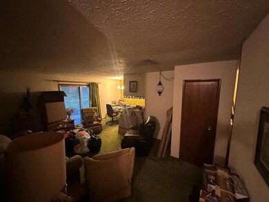Living area featuring carpet and a textured ceilin
