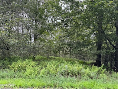 Lot #18 Split Rock Rd, Newfoundland, PA 18445 - photo 3