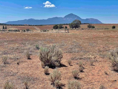 Tract 4 Road K 3, Cortez, CO 81321 - photo 2