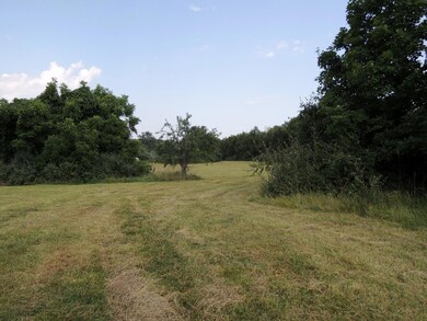 View of Land