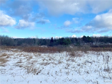 0 County Route 4 unit S1652795, Palermo, NY 13069 - photo 4