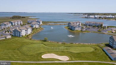 37434 Pettinaro Dr unit 4703, Ocean View, DE 19970 - photo 6