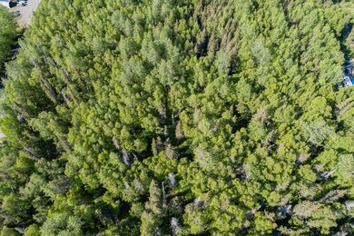 DJI_0671