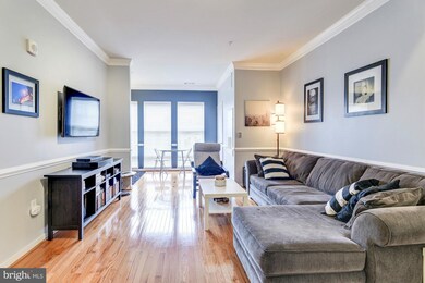 8045 Newell St unit 423, Silver Spring, MD 20910 - photo 4