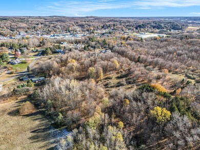 005_dji_20251112135105_0394_d_661