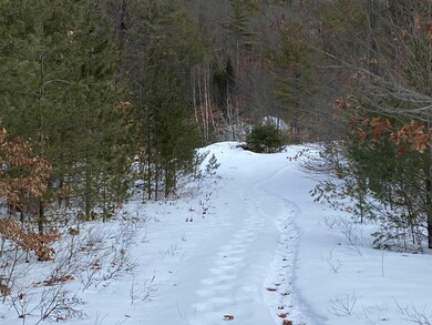 0 Fairgrounds Rd, Plymouth, NH 03264 - photo 6