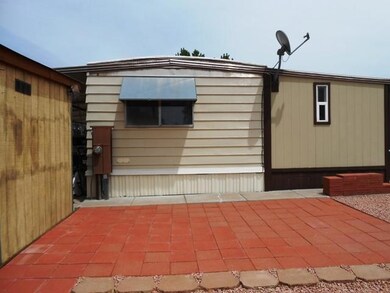 back yard 1