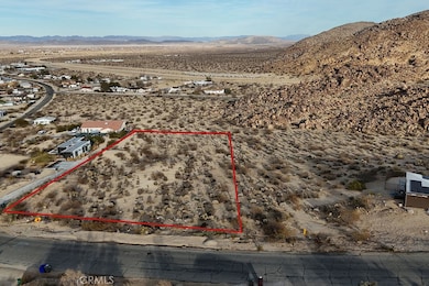 6981 Alturas Dr, Joshua Tree, CA 92252 - photo 4