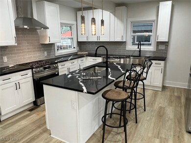 3504 Antisdale Ave, Cleveland Heights, OH 44118 - photo 6