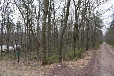 2041 Teaberry Trail, Jim Thorpe, PA 18229 - photo 3