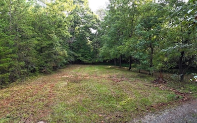 LOT 8 Murphy Ln, Mineral Bluff, GA 30559 - photo 4