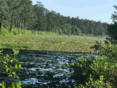 5994 Colonel Scott Dr, Tallahassee, FL 32309 - photo 5