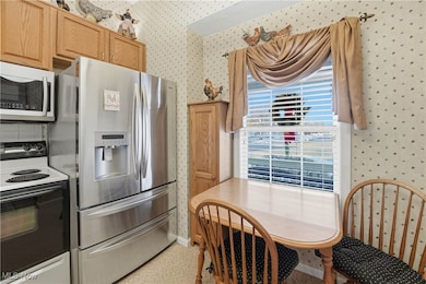 4402 Dalbury Ave NE unit 9E, Canton, OH 44714 - photo 4