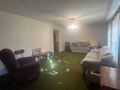 420 Grandview Ave, Chillicothe, MO 64601 - photo 7