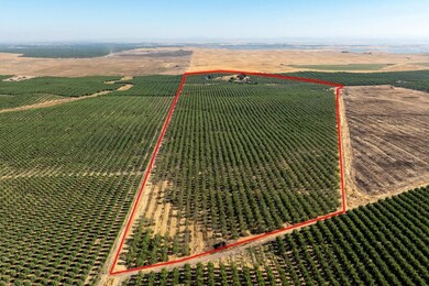 22241 Silver Ridge Rd, Denair, CA 95316 - photo 6