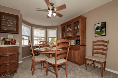 7513 Manor Dr, Mentor On the Lake, OH 44060 - photo 7