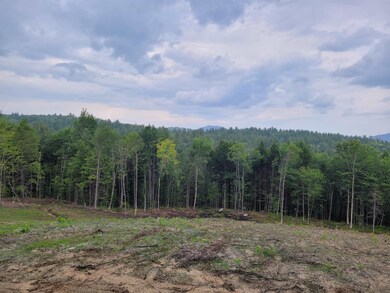 17-18 Halls Brook Rd, Groton, NH 03266 - photo 3